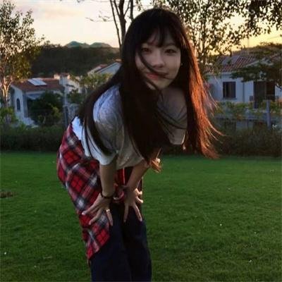 钢铁花 热播封面