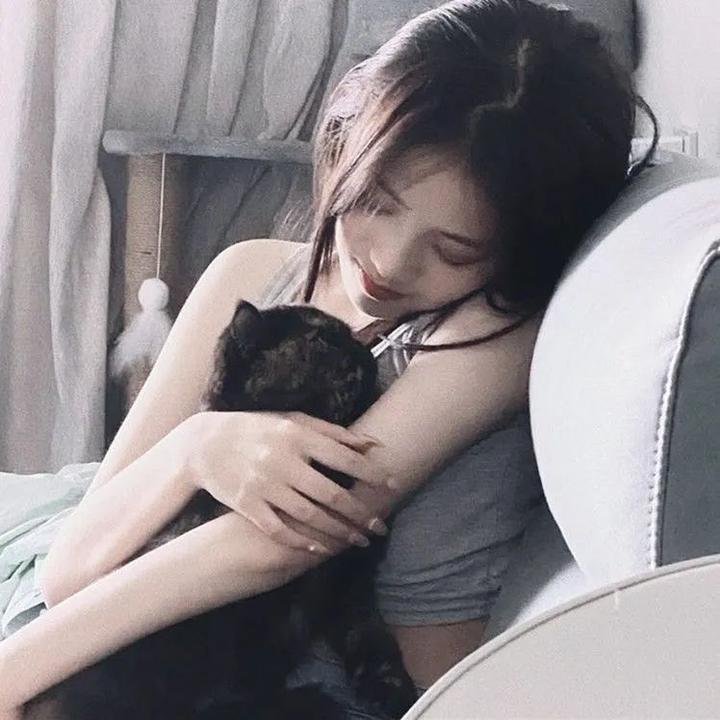 玫瑰的战争 封面