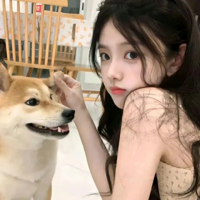 女仆2022 封面